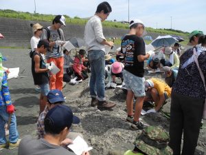 地層を観察する参加者