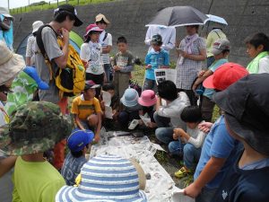 野崎学芸員の解説の様子