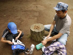 集めたぬけがらを広げる親子