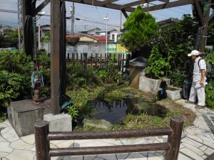 富水駅の自噴井