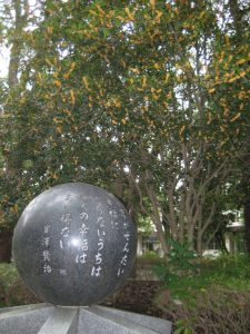 宮澤賢治の碑とその奥で満開を迎えるキンモクセイ