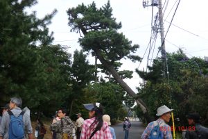 東海道を歩く参加者