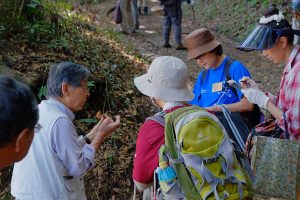 神奈川キノコの会のスタッフの解説を聞く参加者