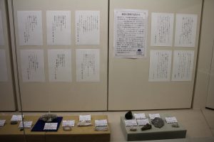 壁に貼られた引用文と手前に並ぶ標本たち