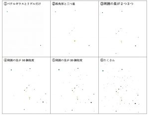 観察に使用するカードの見本