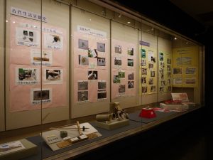 博物館文化祭の展示の様子