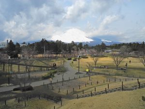 御殿場市桜公園から望んだ富士山