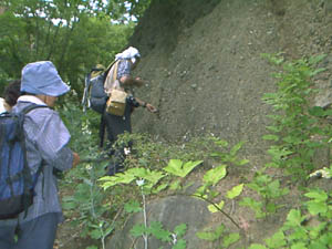 足和田山礫岩層の露頭