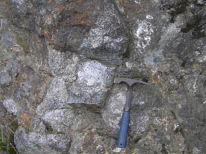 トーナル岩礫を含む土石流堆積物