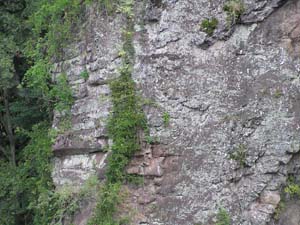 高月橋のかかる露頭上部には日向安山岩の岩脈状をなす六角柱状節理が顕著に見える