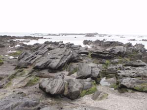 天神島の海岸に広がるスコリア層に富む泥岩との互層