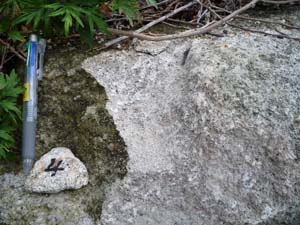 Ｋｎ凝灰岩の１枚である軽石質凝灰岩層