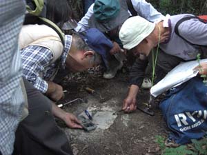 床に露出するシルト岩の走向を測る 紅葉山登山道 楊谷寺横穴墓群