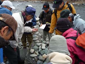 河原石を集めて、礫の特徴や見分け方を学び、分類する（愛川町田代　中津川河原）