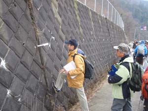 地滑り防止地区となっている箇所で、石垣のズレを測る（愛川町田代）