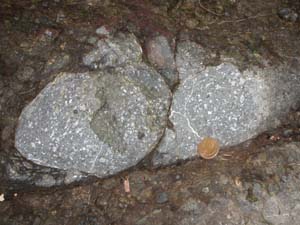 石老山礫岩層中の斑状の輝石安山岩の巨礫（南沢上流）