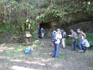 住吉神社脇のトンネルに露出する逗子層