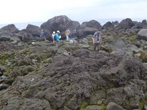 安山岩の角礫状溶岩を観察する