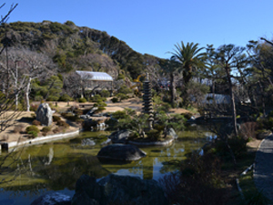 旧吉田邸の庭園