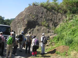 デイサイト質軽石火山礫凝灰岩の露頭を観察する