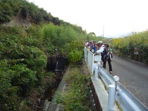 渋田川支流沿いの中位段丘面の段丘崖に露出するローム層の露頭を観察する（上粕屋秋山橋）