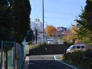 渋沢小学校が建つ中位面と、その西側にみられる高位面（秦野市千村 渋沢小学校前）