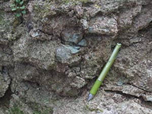 軽石が変質した青緑色のセラドナイトを含むデイサイト質粗粒凝灰岩（伊勢原市大山西の峠南）