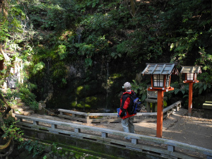 矢沢川にかかる不動の滝。水は渋谷粘土層とその上位のM2面の段丘礫層との間から湧く(世田谷区等々力 等々力渓谷)。