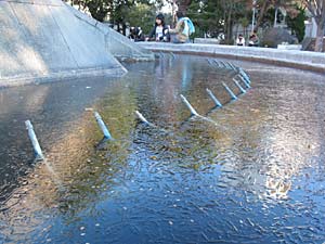 噴水の池の氷（文化公園）