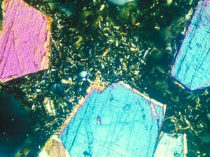 小笠原起源の軽石の顕微鏡写真