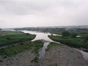 相模川中流の景観