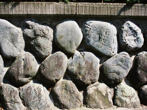 富士川系の玉石（硬砂岩型）