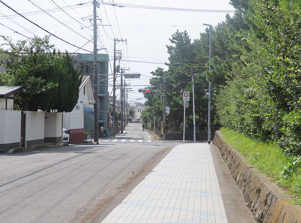 道路の写真。左（南・海側）は住宅、右（北・駅側）は花水小学校の生垣が写る。中央から奥に菫平南公園の松が見える。