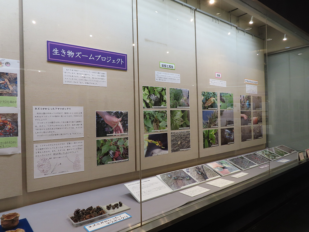 生き物ズームプロジェクトの展示の様子。写真で総合公園の生き物が紹介されている。