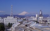 早春の屋上