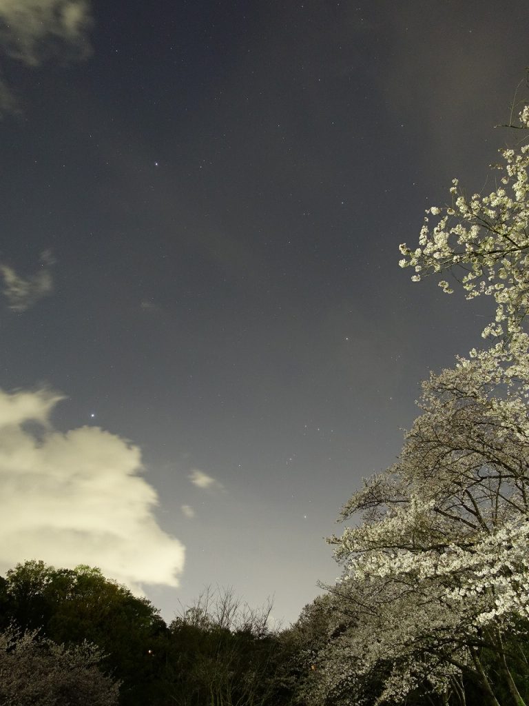 雲と桜の写真