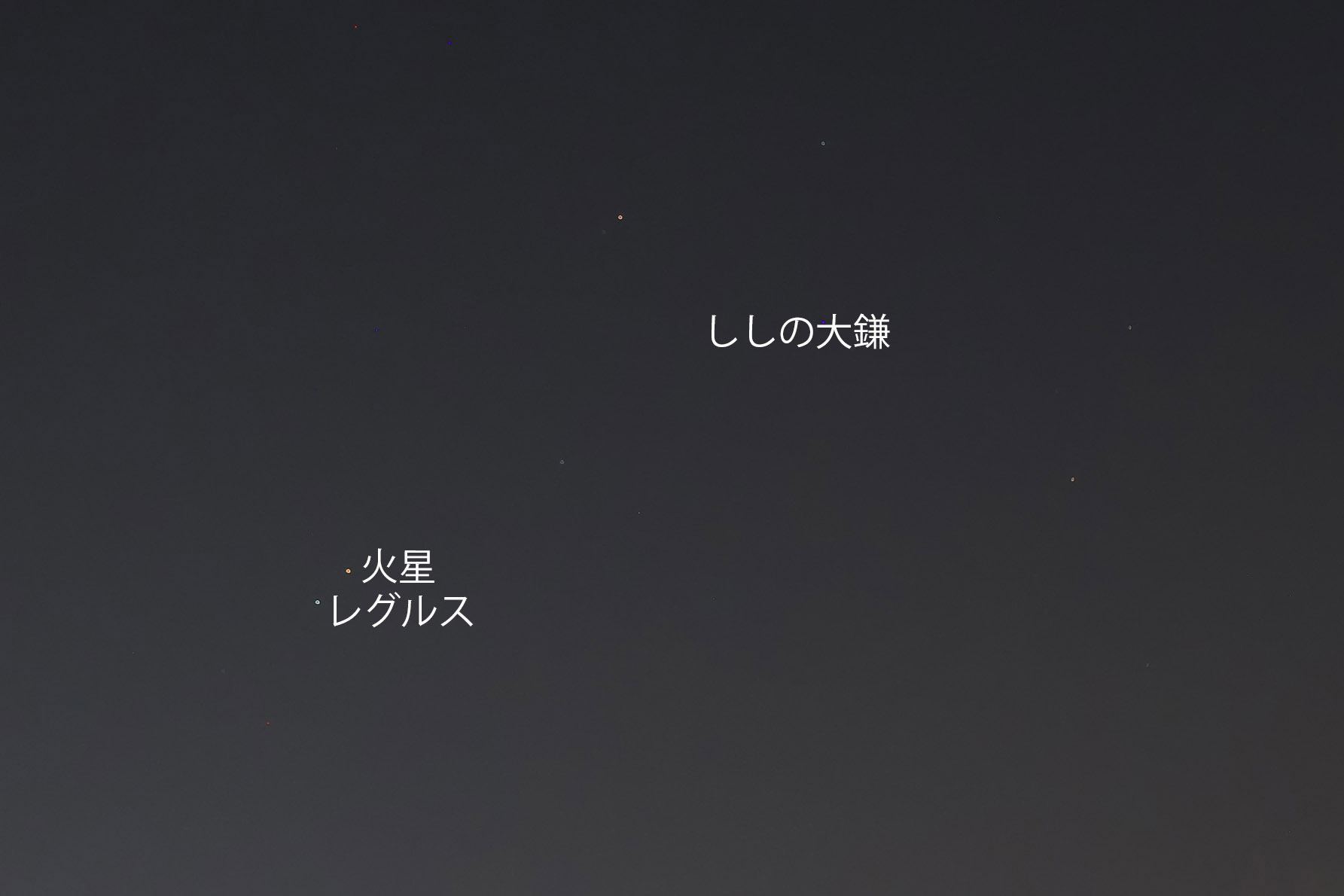 博物館日記