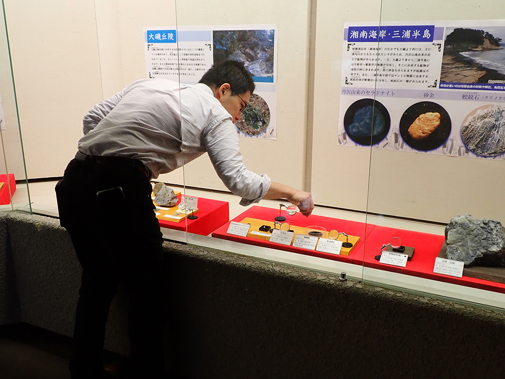 展示作業をする学芸員の様子。展示しているシャーレの位置を調節している。