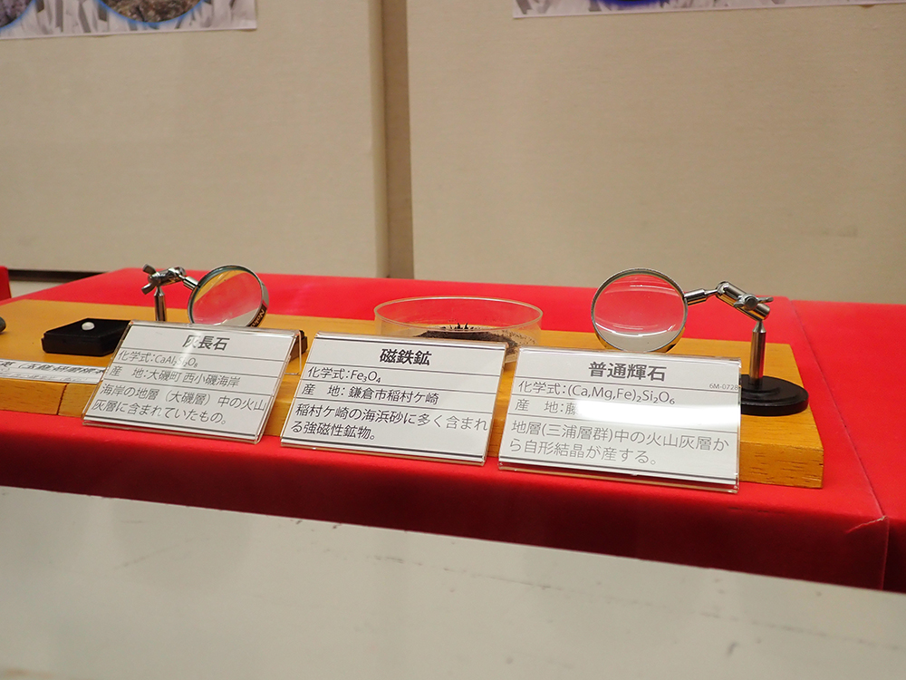 展示部分の拡大
