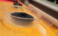 シャーレに入った磁鉄鉱。磁石の影響で中央が盛り上がっている