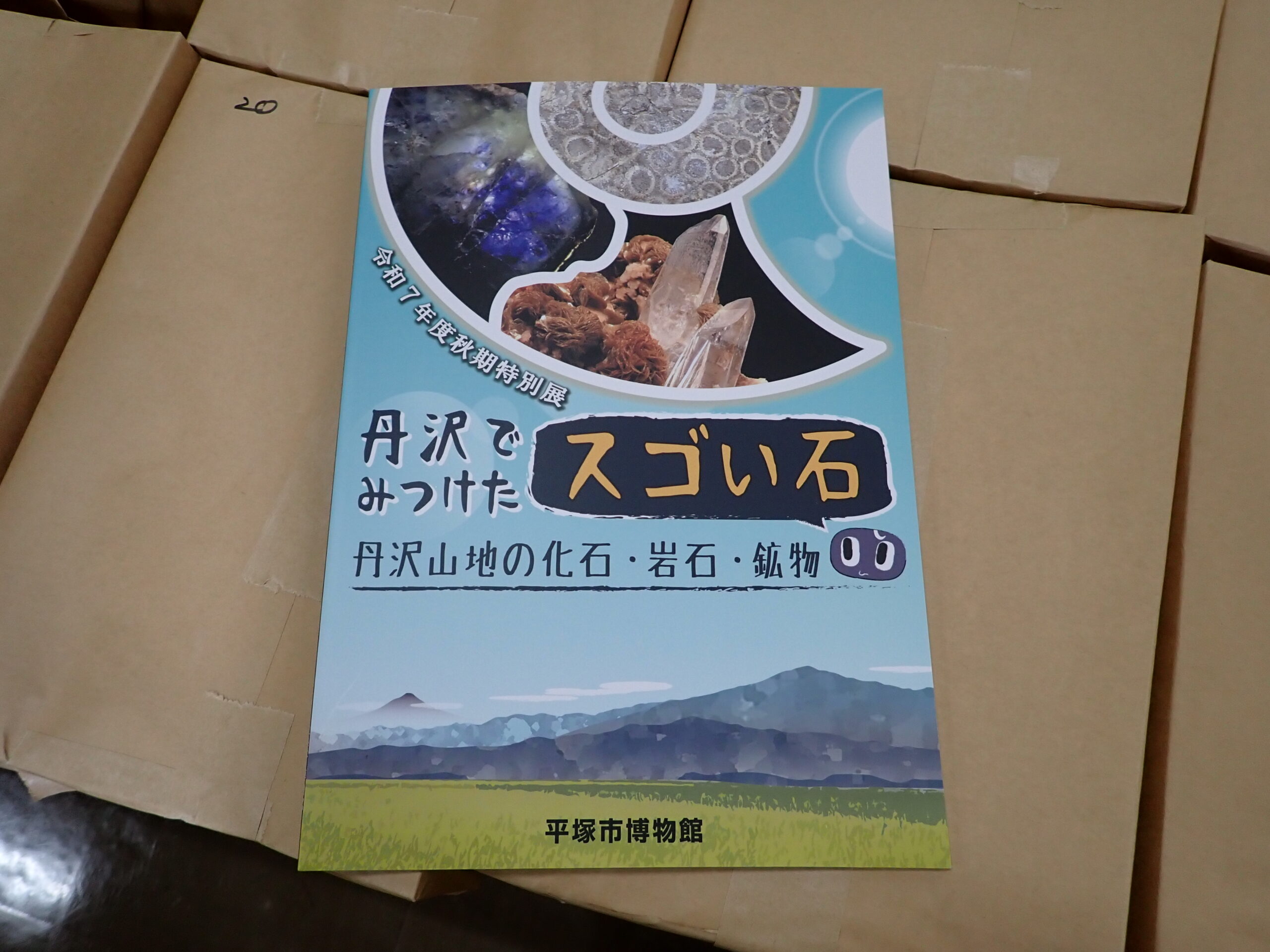 1冊の図録が紙に包まれた図録の束の上に載っている様子。