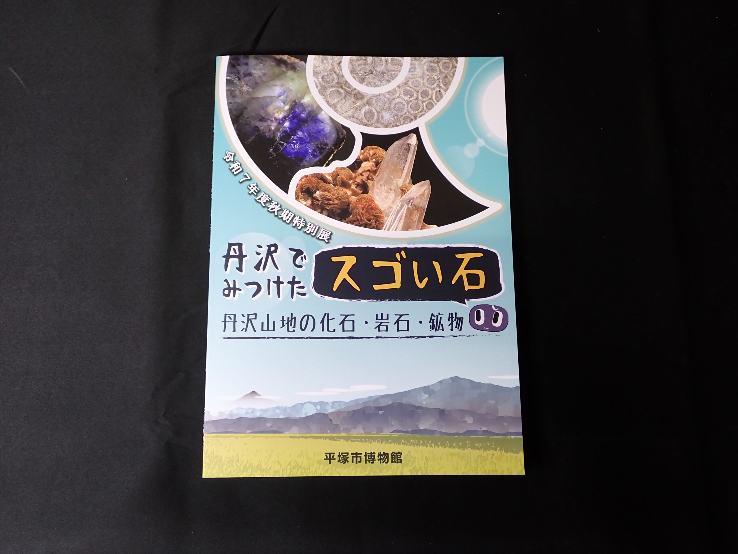 黒い背景にした図録の表紙