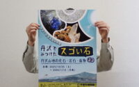 秋期特別展「丹沢でみつけたスゴい石　丹沢山地の化石・岩石・鉱物」