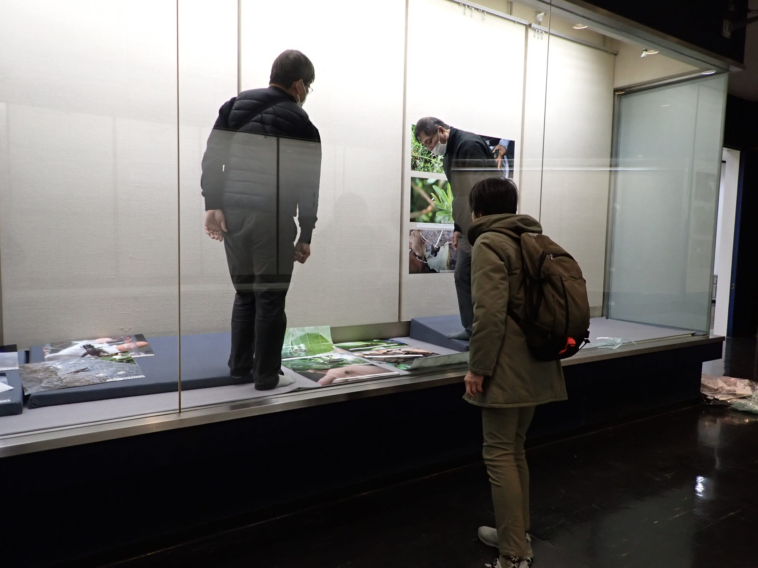 展示作業の様子。展示ケースの中に2名、外に1名がいる。