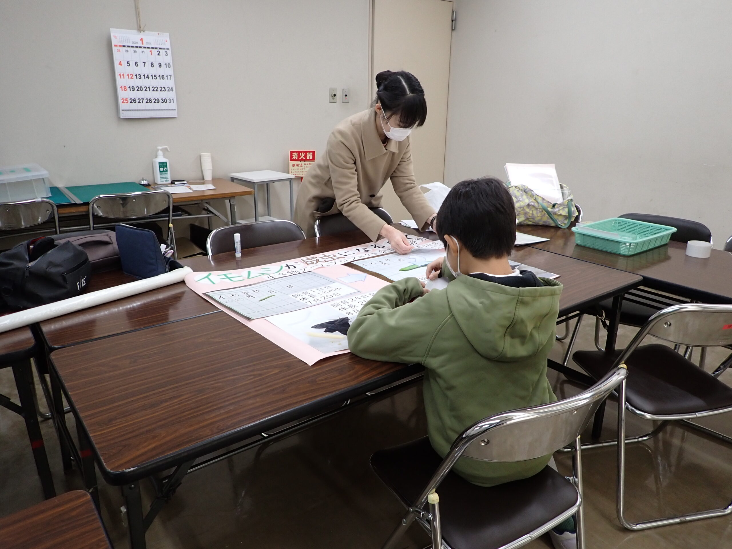 模造紙に写真を貼りまとめる様子。模造紙にはイモムシが成虫になるまでの文字が見える。