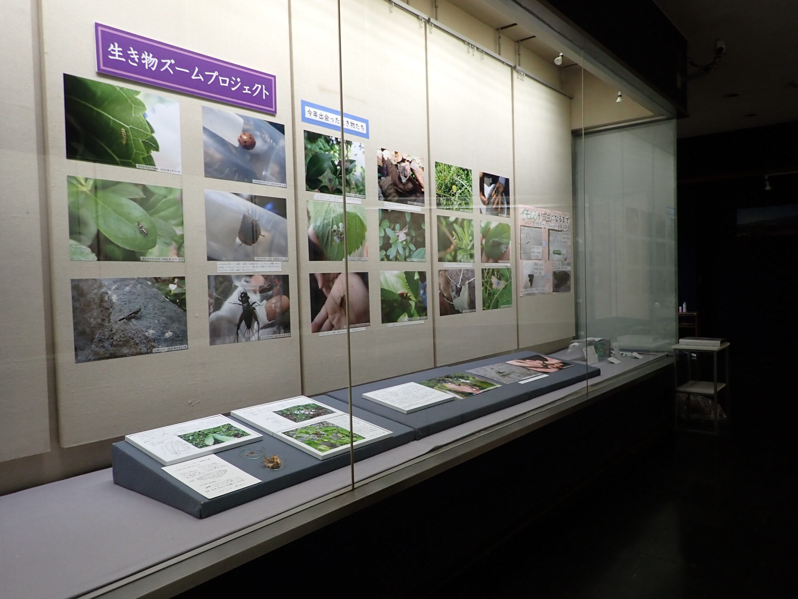 完成した展示。壁に18枚の写真と模造紙1枚が貼られ、手前に3枚の写真と解説があることがわかる。