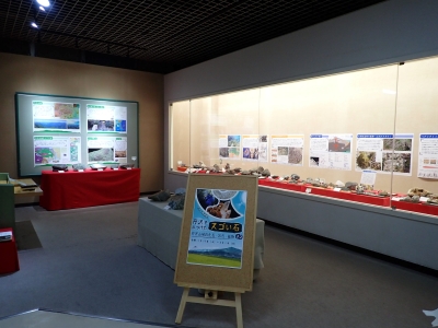 ポスト特別展「丹沢でみつけたスゴい石　丹沢山地の岩石・化石・鉱物」