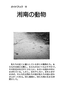 ガイドブック 11　湘南の動物　－獣蛇蛙魚－ 表紙裏
