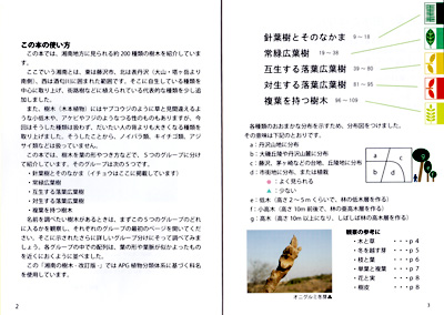 湘南の樹木 目次
