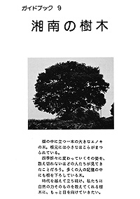ガイドブック 9　湘南の樹木 表紙裏